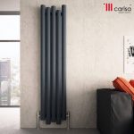 CARISA MOTION